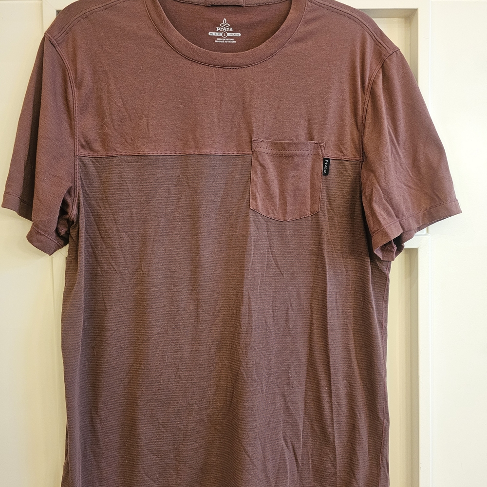 Prana Men's Short Sleeve Tee in Rich Brown